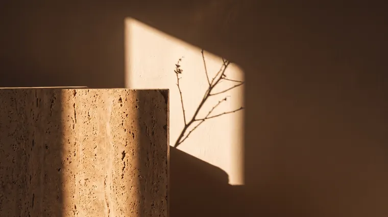 Low sun on a travertine block and the shadow of a dried branch on a plaster wall.